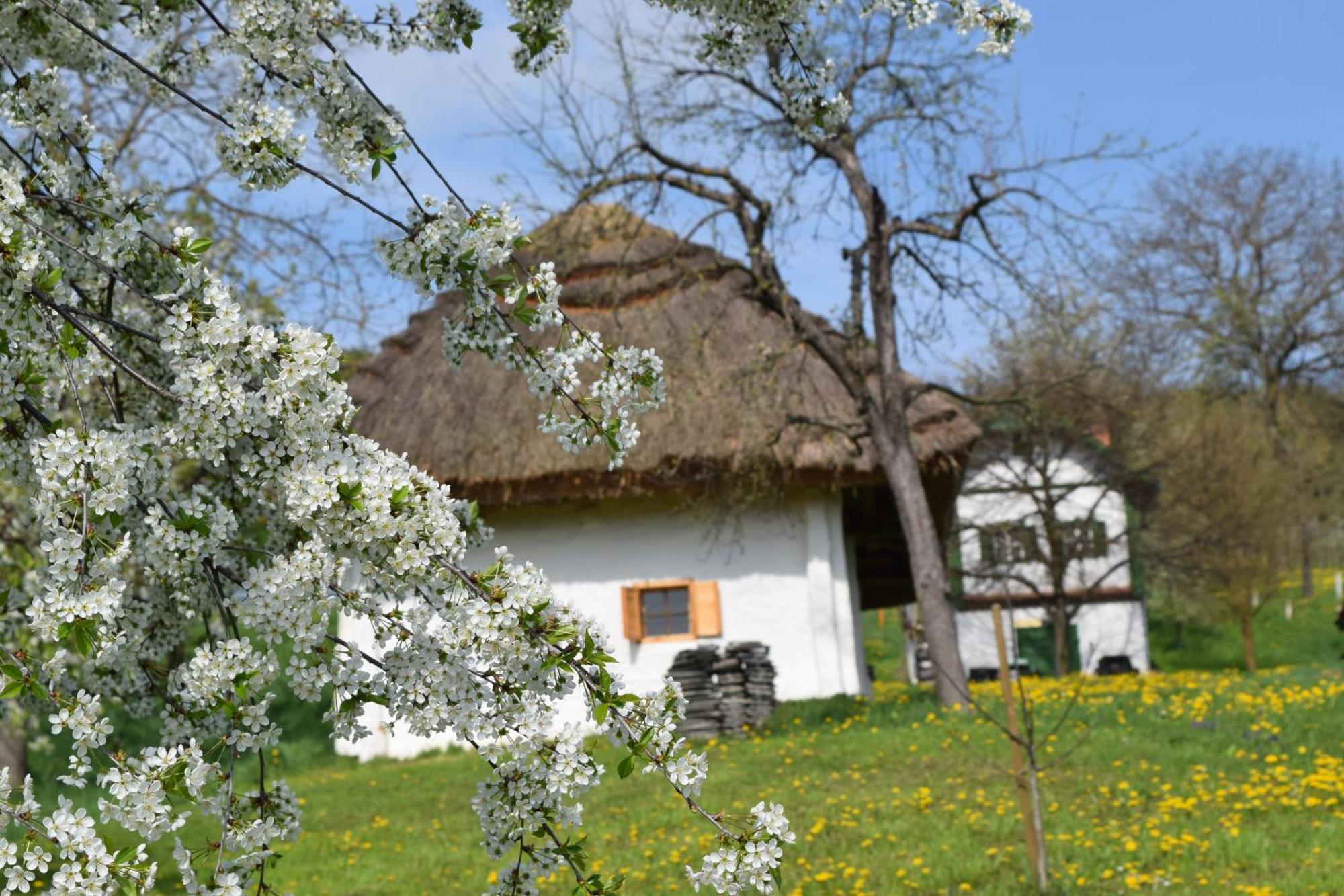 Genussgasthof&Hotel beim Krutzler Heiligenbrunn Exterior foto